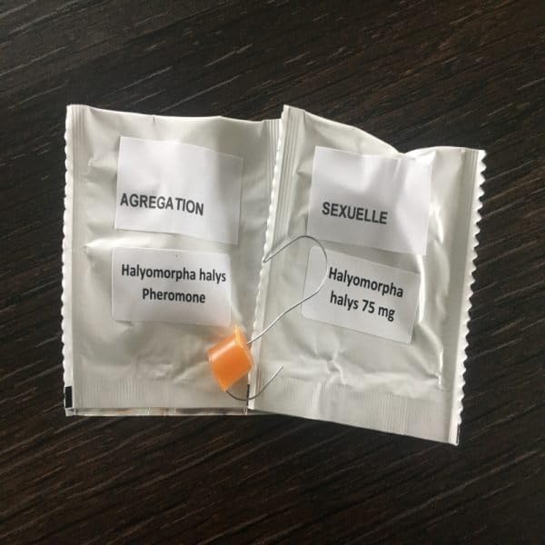 Vue 3 de Piege Ecologique Punaises De