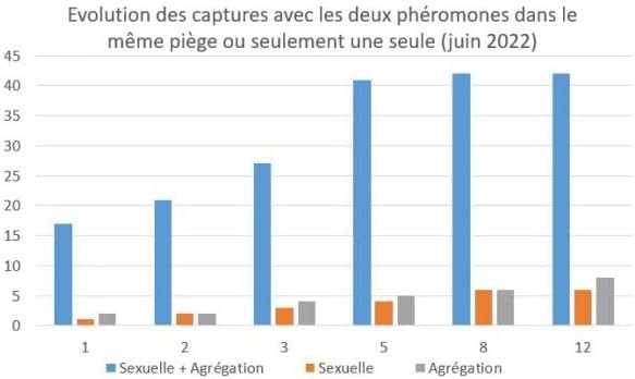 Vue 4 de Piege Ecologique Punaises De