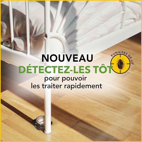 Vue 3 de Raid Essentials Detecteur Et