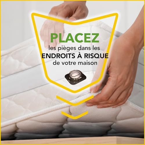 Vue 4 de Raid Essentials Detecteur Et