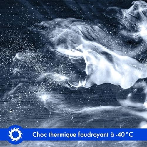 Vue 2 de Biocinov Spray Freeze Antipunaises