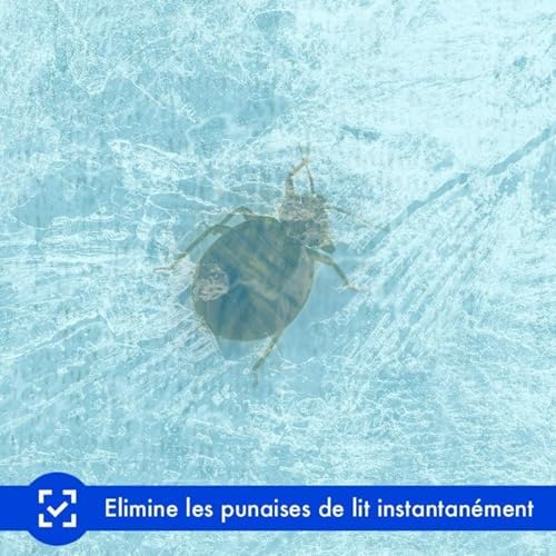 Vue 3 de Biocinov Spray Freeze Antipunaises