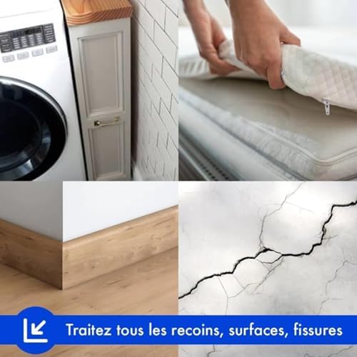 Vue 4 de Biocinov Spray Freeze Antipunaises