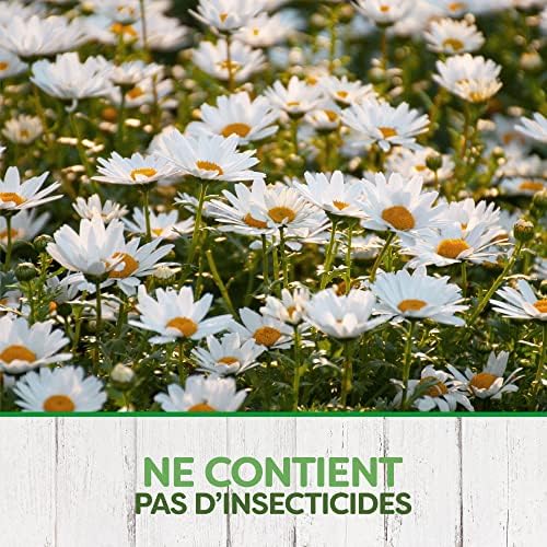 Vue 4 de Pyrel Pieges Cafards Et