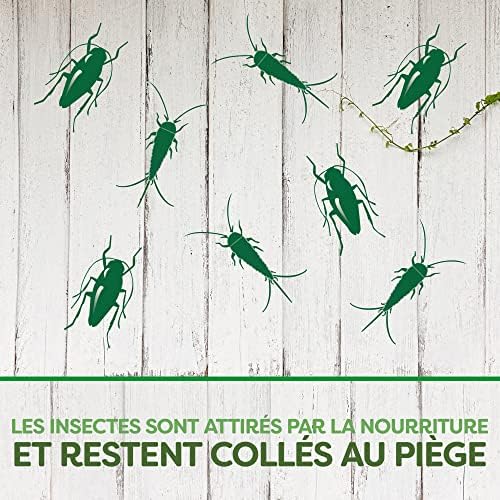 Vue 6 de Pyrel Pieges Cafards Et