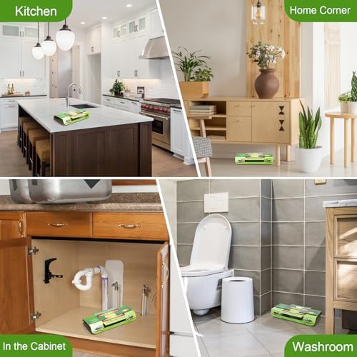 Vue 7 de Pieces Piege Cafard Produit