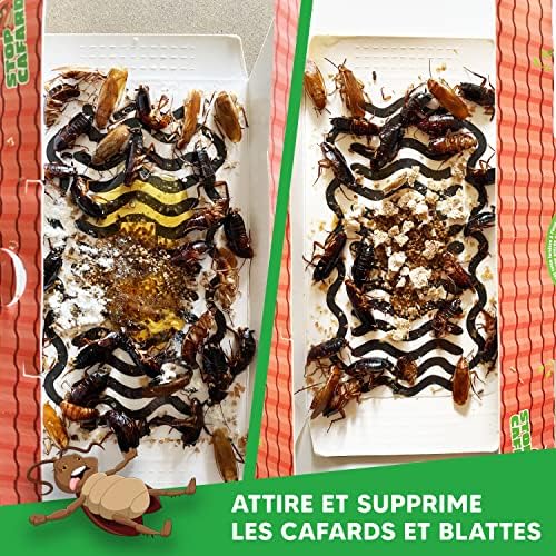 Vue 2 de Stop Cafard Pieges
