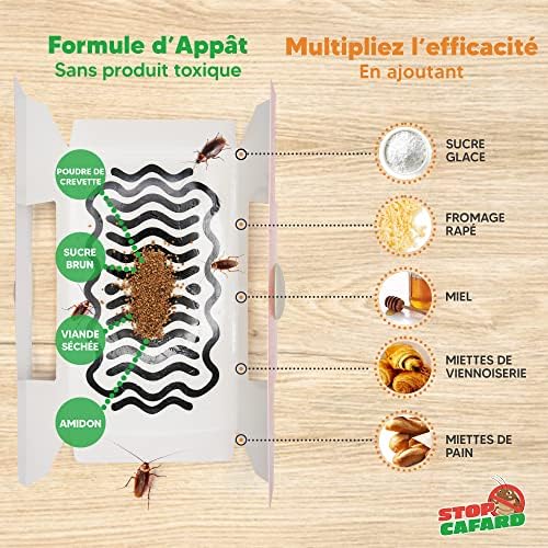 Vue 3 de Stop Cafard Pieges