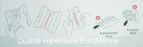 Vue 2 de Lot De Pieges Cafards