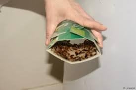 Vue 4 de Lot De Pieges Cafards