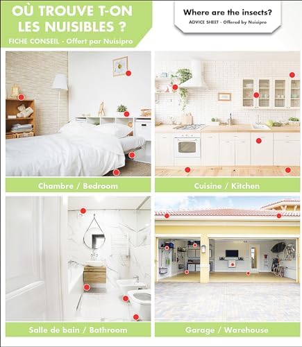 Vue 5 de Lot De Pieges Cafards