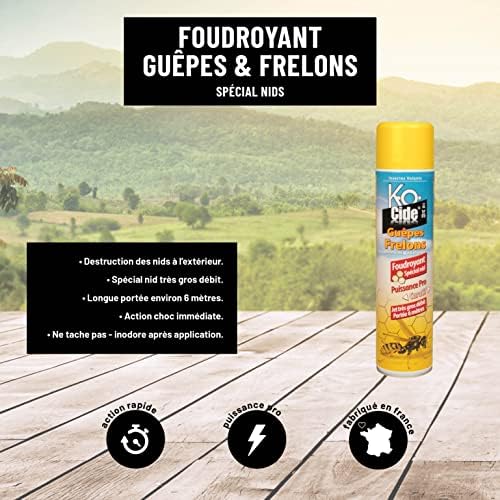 Vue 2 de Kocide Foudroyant Guepes Et