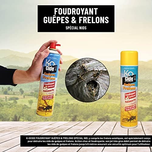 Vue 3 de Kocide Foudroyant Guepes Et