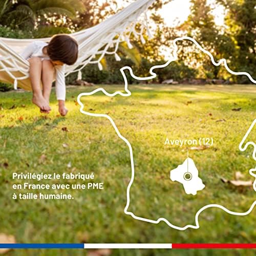 Vue 5 de Kocide Foudroyant Guepes Et