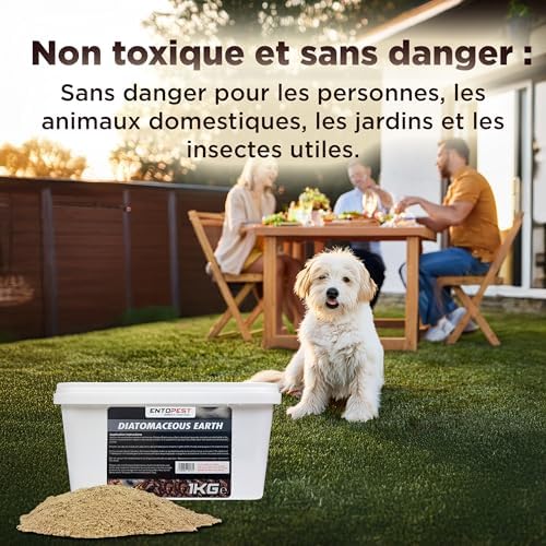 Vue 3 de Entopest Kg Terre De