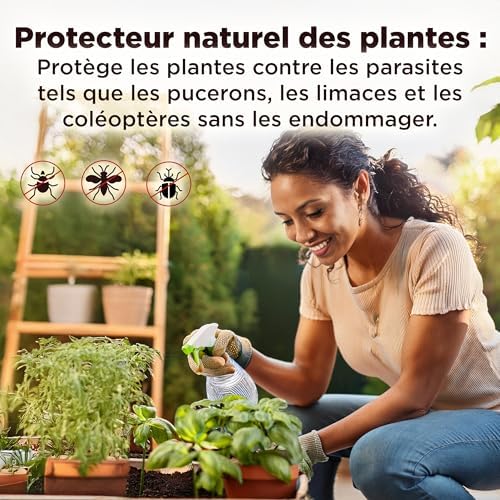 Vue 4 de Entopest Kg Terre De