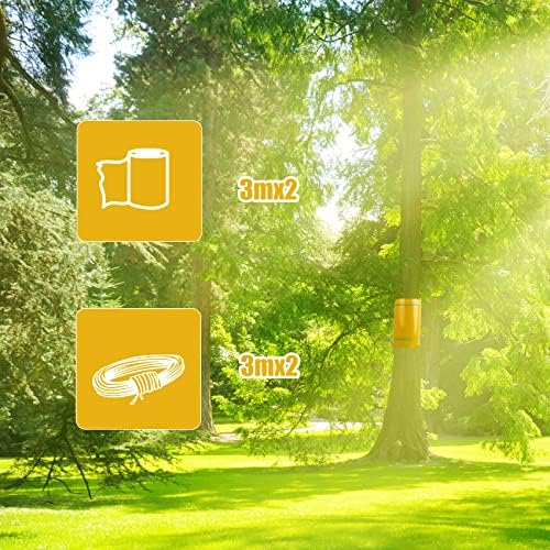 Vue 2 de Bande Glue Arbre