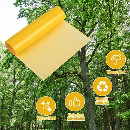 Vue 3 de Bande Glue Arbre