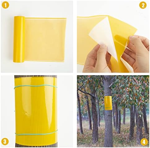 Vue 4 de Bande Glue Arbre