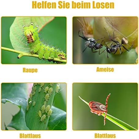 Vue 5 de Bande Glue Arbre