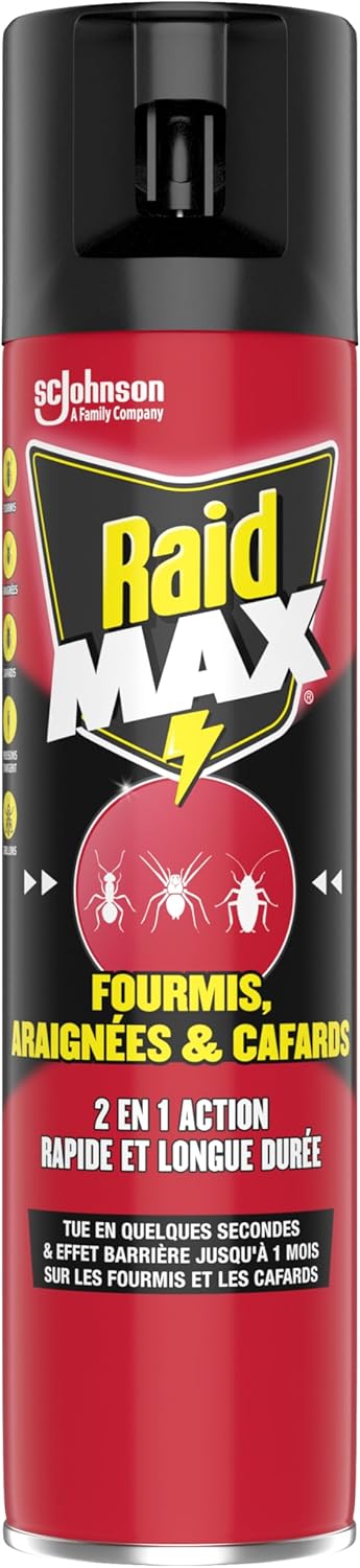 Raid Max Fourmis Araignees