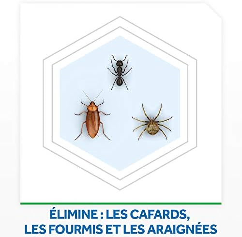 Vue 3 de Raid Max Fourmis Araignees