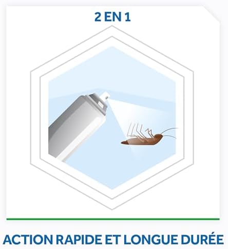 Vue 4 de Raid Max Fourmis Araignees