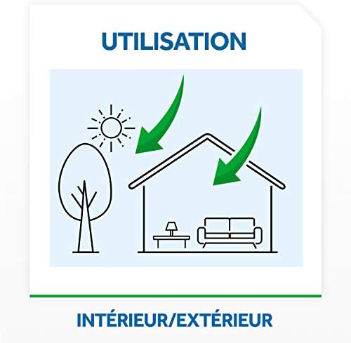 Vue 5 de Raid Max Fourmis Araignees