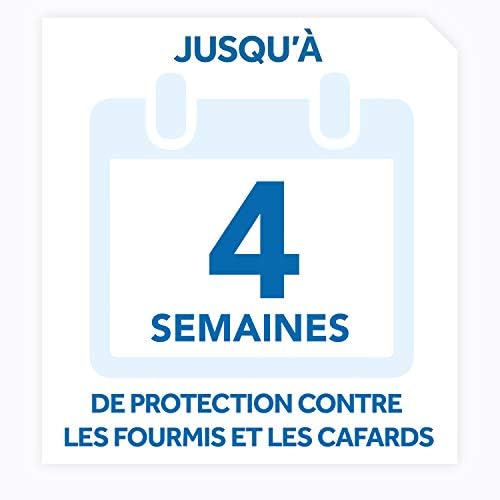 Vue 6 de Raid Max Fourmis Araignees