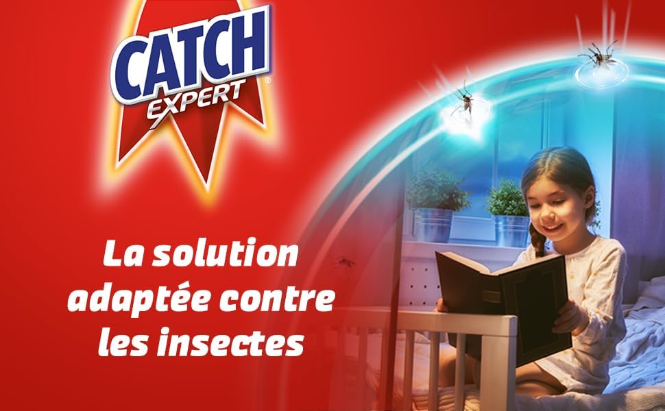 Vue 3 de Catch Expert Fourmis Gel