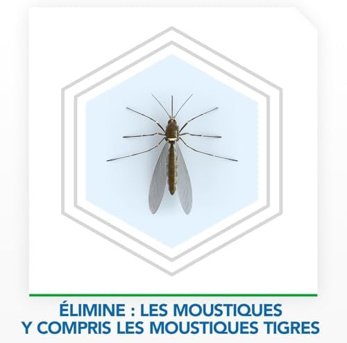 Vue 3 de Raid Max Spirales Antimoustiques