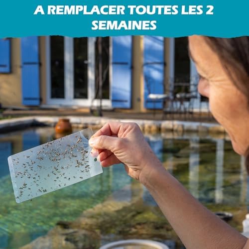 Vue 3 de Blam Mostiky Films Adhesifs