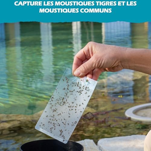 Vue 4 de Blam Mostiky Films Adhesifs