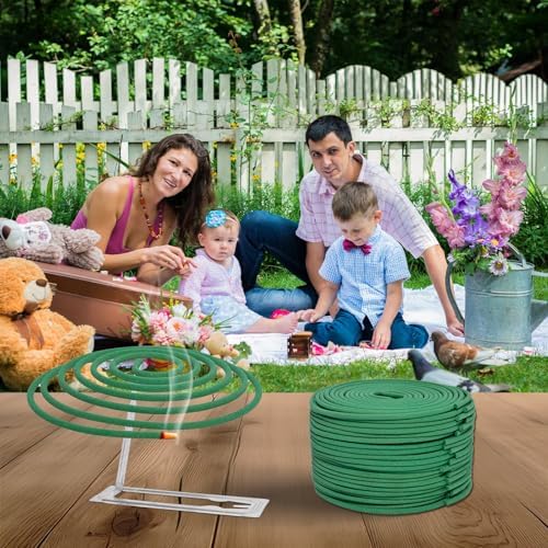 Vue 6 de Spirales Encens La