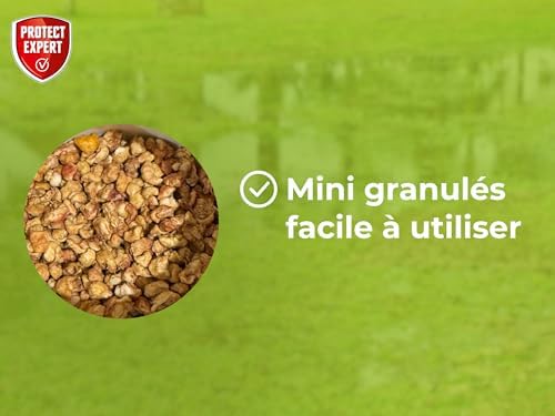 Vue 5 de Protect Expert Larvicide Moustiques