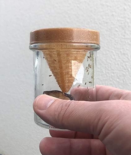 Vue 6 de Frubby Piege Mouches