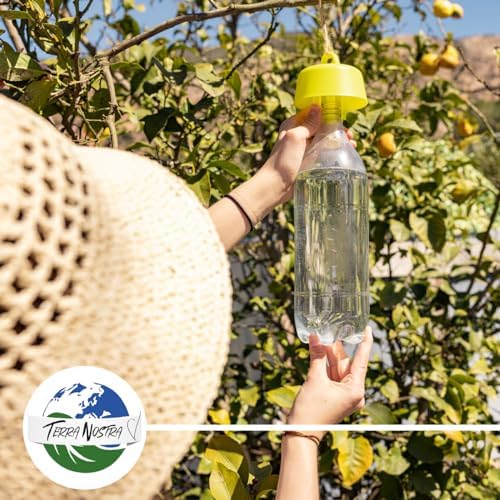 Vue 3 de Terra Nostra Piege