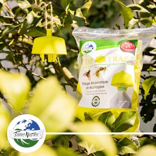 Vue 4 de Terra Nostra Piege