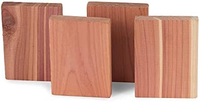 Vue 3 de Compactor Lot De Plaques