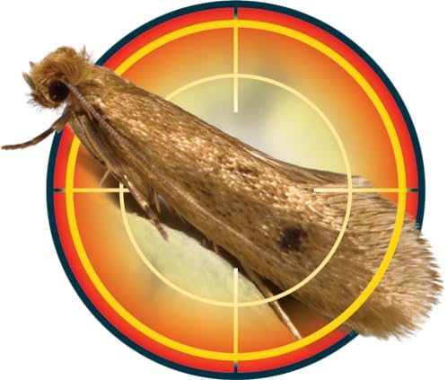 Vue 4 de Nope Cp Spray Antimites