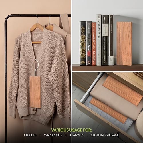 Vue 4 de Zidina Blocs De