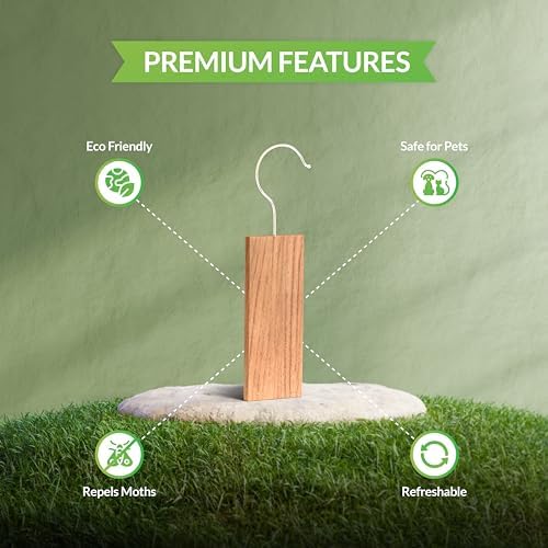 Vue 5 de Zidina Blocs De