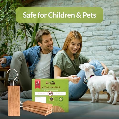 Vue 6 de Zidina Blocs De