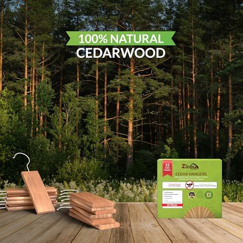 Vue 7 de Zidina Blocs De