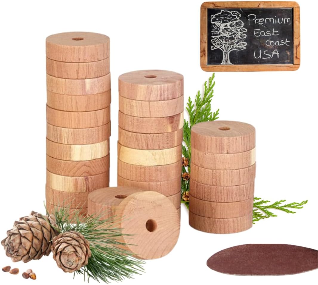 Chill French Anneaux De