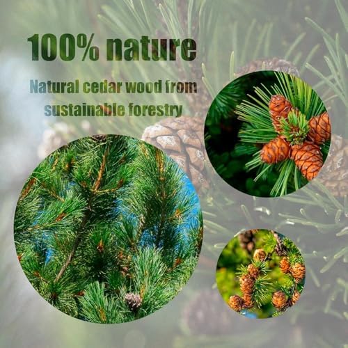 Vue 4 de Chill French Anneaux De