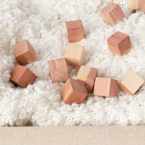 Vue 6 de Compactor Cedar Lot