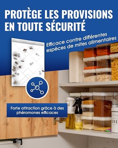 Vue 2 de Pic Pieges Mites