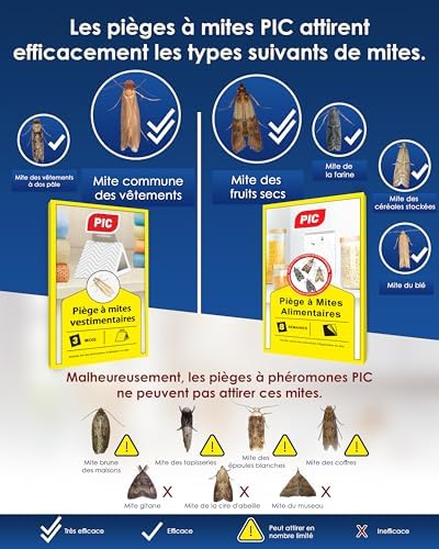 Vue 3 de Pic Pieges Mites