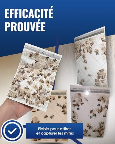 Vue 4 de Pic Pieges Mites